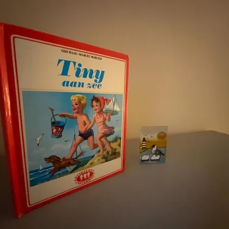 Genieten De Vlaamse Kust Met Prachtig Zeezicht